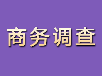 绥棱商务调查